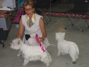 Exposition Canine National Bulle