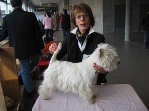 Exposition Canine Internationale Fribourg