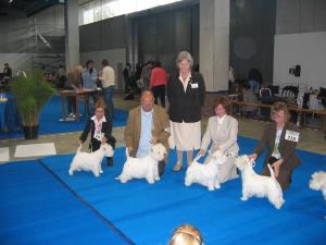 Animalia St.Gallen