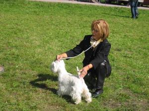 7. Black and White Terrier Show