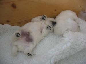 ...dreaming...