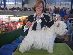 Animalia Lausanne 2007