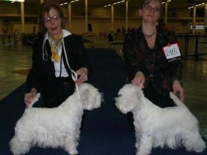 International Dog Show Brno, Czech Republic