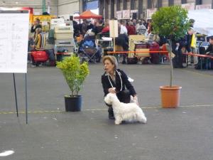 Exposition Canine International Fribourg