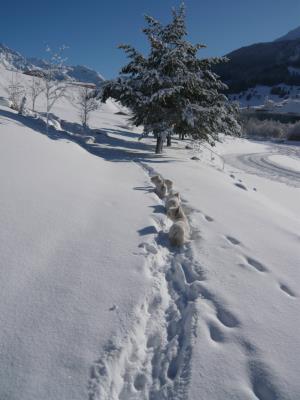 Start in die neue Wintersaison