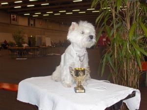 Exposition Canine International Fribourg