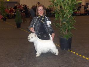 Exposition Canine International Fribourg