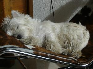 Dunia in der M&auml;rzsonne