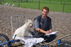 2. Westietag Westie Förderverein in Wigoltingen/TG
