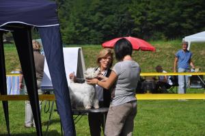 CAC Nationale Terrierschau Eiken<br>Marilyn Mara Lady of Beacon Hill Treasure (20.12.08)
