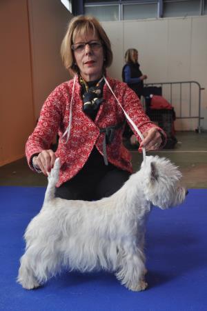 Animalia Lausanne 16./17. Oktober 2010<br>
Exposition Canine International
