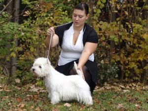4. König Ludwig von Bayern Show