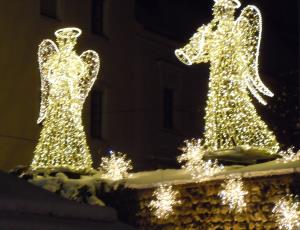 Internationale Hundeausstellung Wels, Österreich<br>
4./5. Dezember 2010