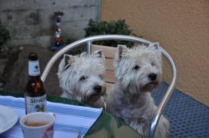 Summertime