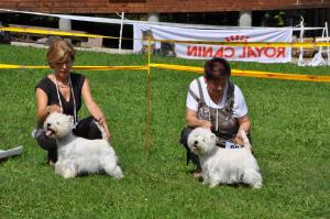 1. Suisse Terrier Derby (Sa)</br>12. Black and White Show (So)</br>Oberhasli 3./4. September 2011