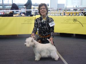 4. Nationale Stuttgart, 5. November 2011</br>Nationale Rassehundeausstellung