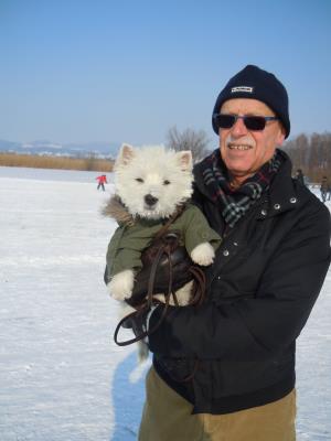 12. Februar 2012</br>Westieausflug auf dem gefrorenen  Pfäffikersee