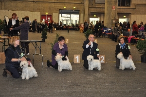 Exposition Canine Internationale Fribourg</br>25./26. février 2012