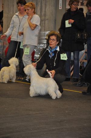 Exposition Canine Internationale Fribourg</br>25./26. février 2012