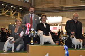 Exposition Canine Internationale Fribourg</br>25./26. février 2012