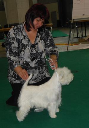 Animalia St. Gallen 12./13.Mai 2012</br>Internationale Hundeausstellung