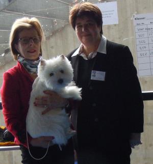 IHA - 2013 München<br>Internationale Rassehunde-Ausstellung<br>31. März 2013