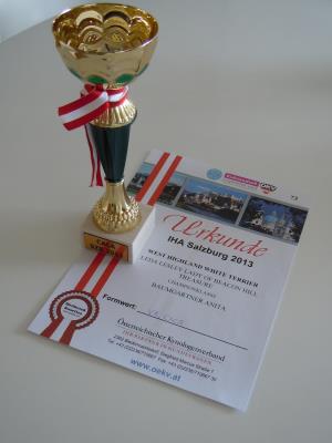 IHA Salzburg, Osterreich 27. April 2013<br> Internationale Hundeausstellung