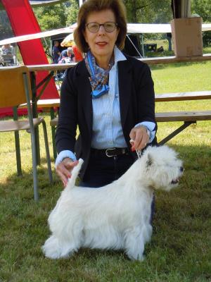 Nationale Terrierschau Eiken<br>30. Juni 2013