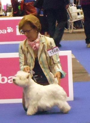 European Dog Show 2013<br>29/39 August 2013, Geneva Switzerland