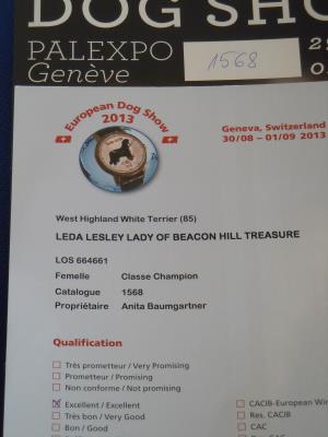 European Dog Show 2013<br>29/39 August 2013, Geneva Switzerland