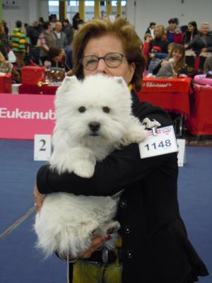 Internationale Hundeausstellung Wels, Österreich<br>7./8. Dezember 2013