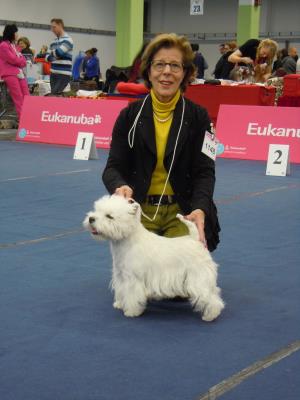 Internationale Hundeausstellung Wels, Österreich<br>7./8. Dezember 2013