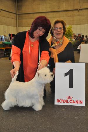 Exposition Canine Internationale Fribourg<br>22./23. f&eacute;vrier 2014