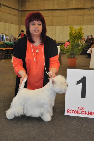 Exposition Canine Internationale Fribourg<br>22./23. f&eacute;vrier 2014