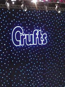 Crufts in Birmingham, England<br>7. M&auml;rz 2014