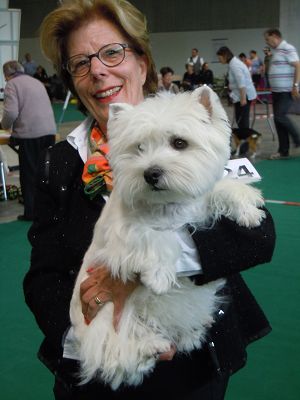 Animalia St. Gallen 10. Mai 2014<br>Internationale Hundeausstellung