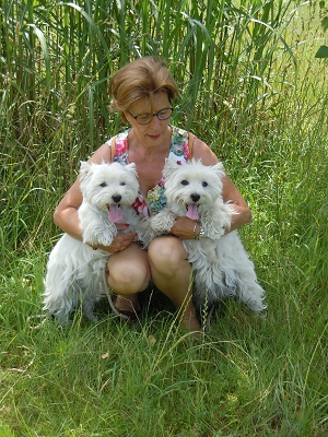 Impressionen<br>CAC Nationale Terrierschau, Eiken<br>22. Juni 2014