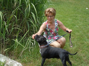 Impressionen<br>CAC Nationale Terrierschau, Eiken<br>22. Juni 2014