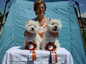OG Regensburger Land, Traitsching Deutschland<br>6. „Dog in Park“<br>6. Juli 2014