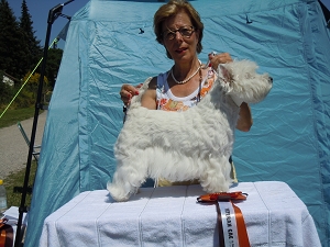 OG Regensburger Land, Traitsching Deutschland<br>6. „Dog in Park“<br>6. Juli 2014
