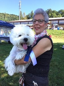 Nationale CAC Terrierschau Eiken<br />Jubiläums-Terrierschau des SCFT<br />22./23. August 2015