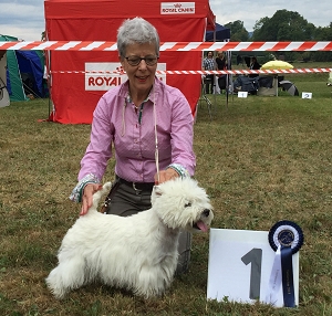 Nationale CAC Terrierschau Eiken<br />Jubiläums-Terrierschau des SCFT<br />22./23. August 2015