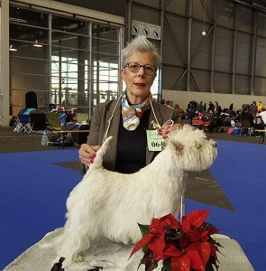 Genève, 21./22. November 2015<br>Expositions Canines Internationales