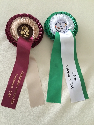 CAC Ludwigshafen, Deutschland Terrier Spezial-Ausstellung OG Hessen-Süd 30. April 2016 OG Mannheim-Ludwigshafen 01. Mai 2016