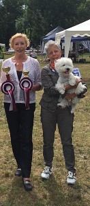 Nationale CAC-Terrierschau 2016, Eiken<br>20./21. August 2016