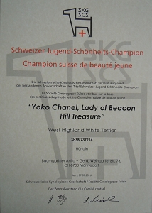 Flash News – bereits mit 12 &frac12; Monaten<br>Yoko Chanel Schweizer Jugend-Champion