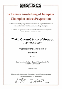 Yoko Chanel nun auch Schweizer Ausstellungs-Champion<br>(CH-Champion)