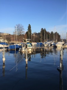 11. Februar 2017 Seehafen M&auml;nnedorf &ndash;<br />im Unterland meldet sich bereits der Fr&uuml;hling