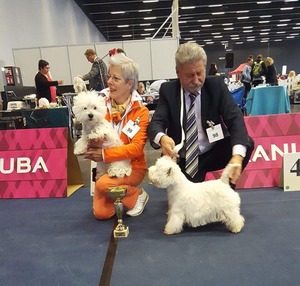 Internationale Rassehundeausstellung<br />IHA Salzburg, &Ouml;sterreich<br />8. April 2017