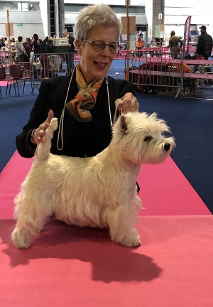 CACIB Mulhouse, Frankreich<br />La Canine du Haut-Rhin<br />14. April 2018